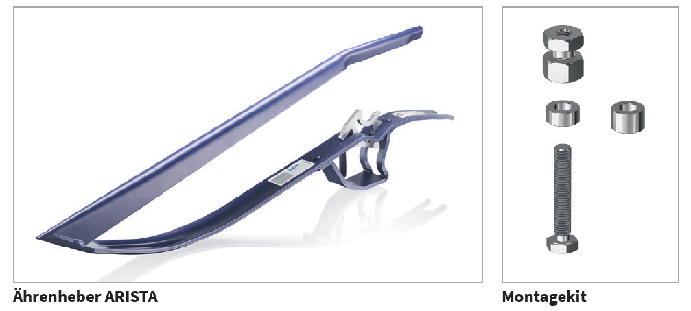 Aehrenheber von Arista