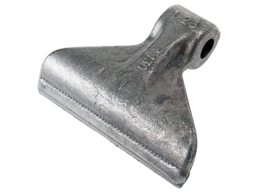Grauer Hammerschlegel