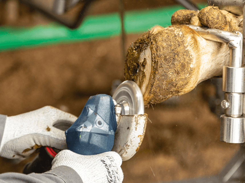 Es sind Hände mit weißen Handschuhen zu sehen. Diese Hände haben eine Schleifmaschine in der Hand und schleifen die Hufe eines Tieres. Im Hintergrund sieht man einen Stall.
