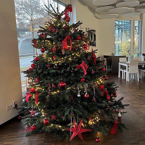 In unserer Zentrale in Stuttgart wurde bereits wie jedes Jahr der Weihnachtsbaum im Betriebsrestaurant aufgestellt und...