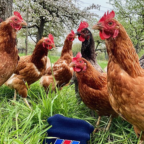 Wir wünschen euch schöne Osterfeiertage! 🐣🌼🥚🐰

#winklerkarriere #ostern2025